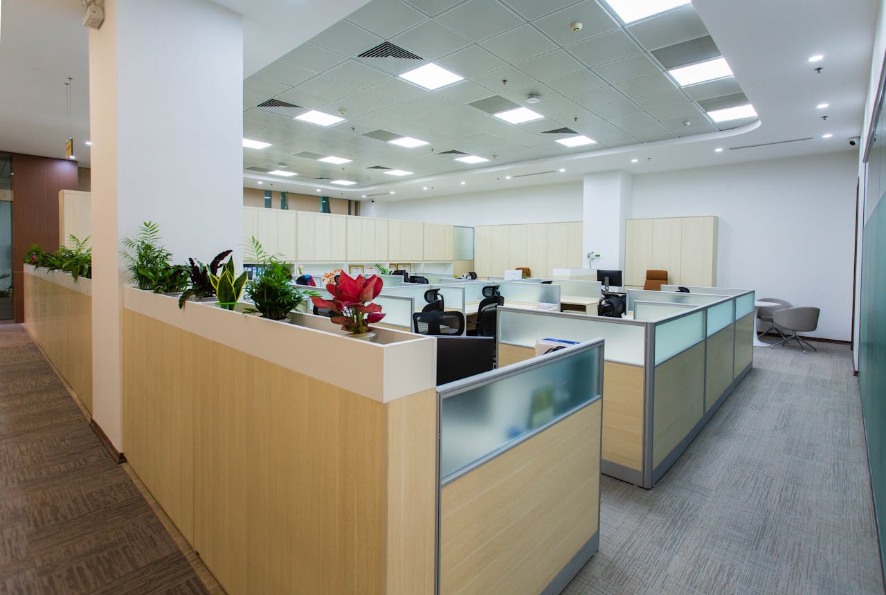 Modern Mildura office cleaned by Vine